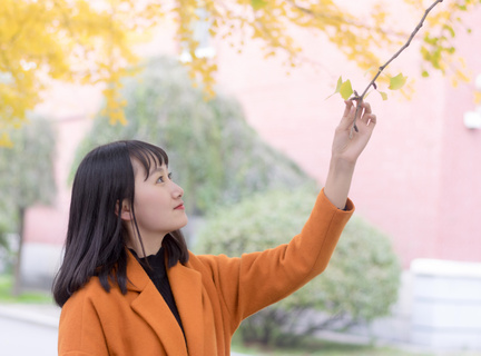 菲律宾华侨生联考成绩能考什么大学 专业解答